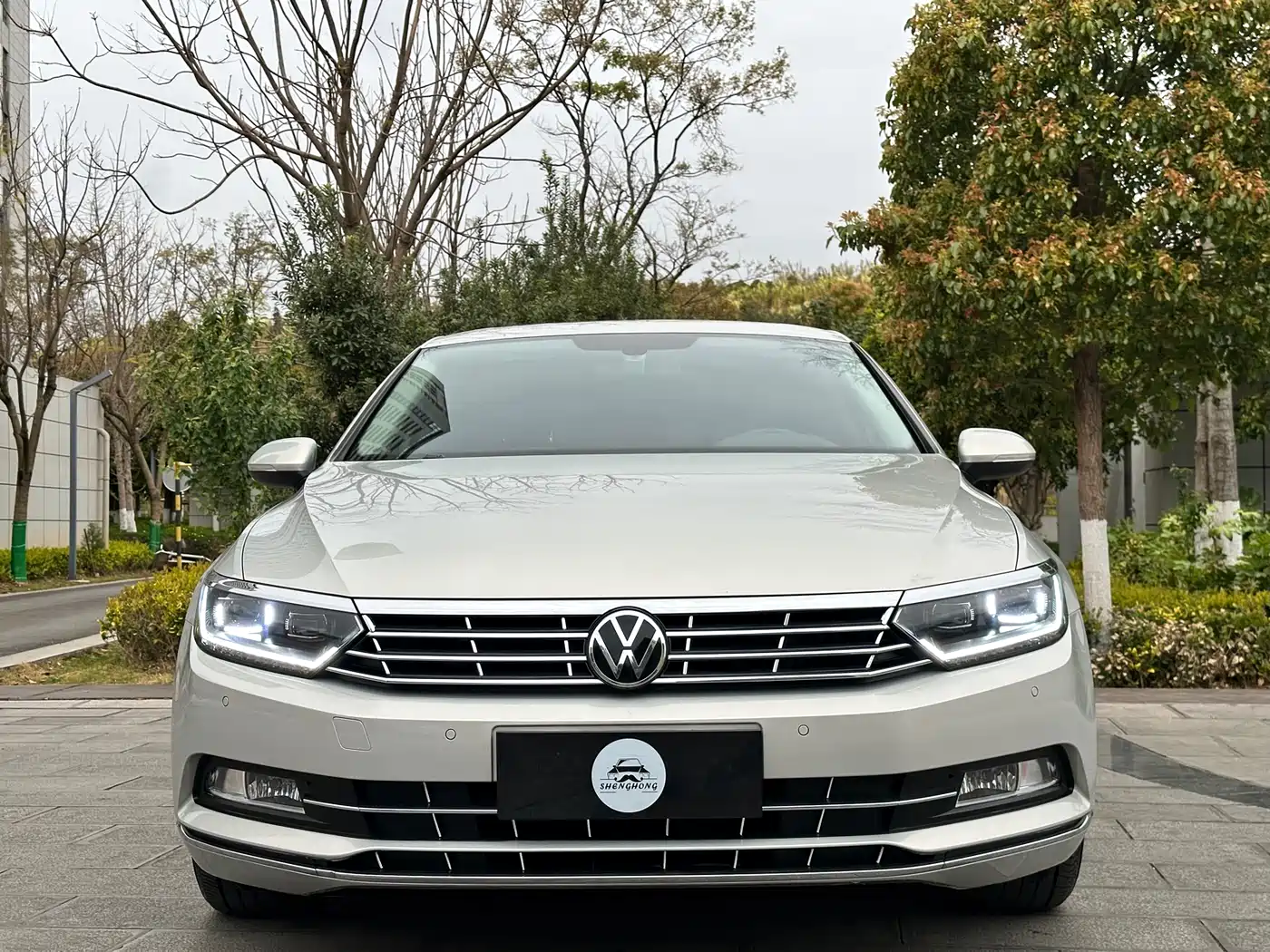 Volkswagen Magotan 2018 330TSI DSG Luxury фото 2