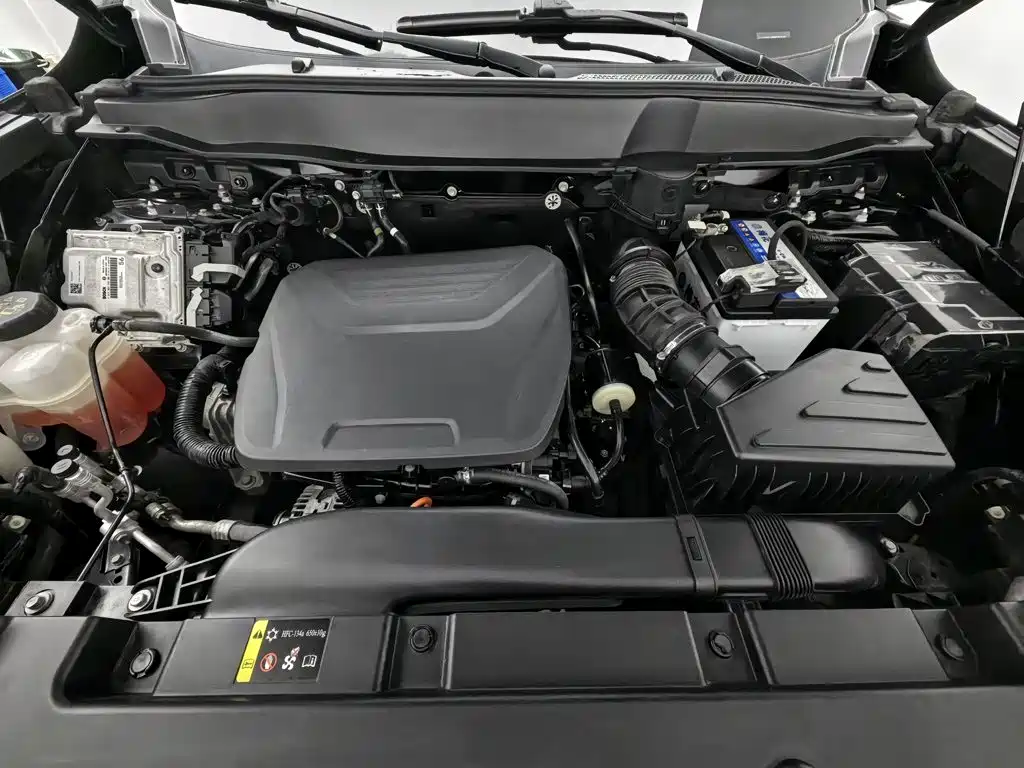 Фото 6 - Haval Big Dog