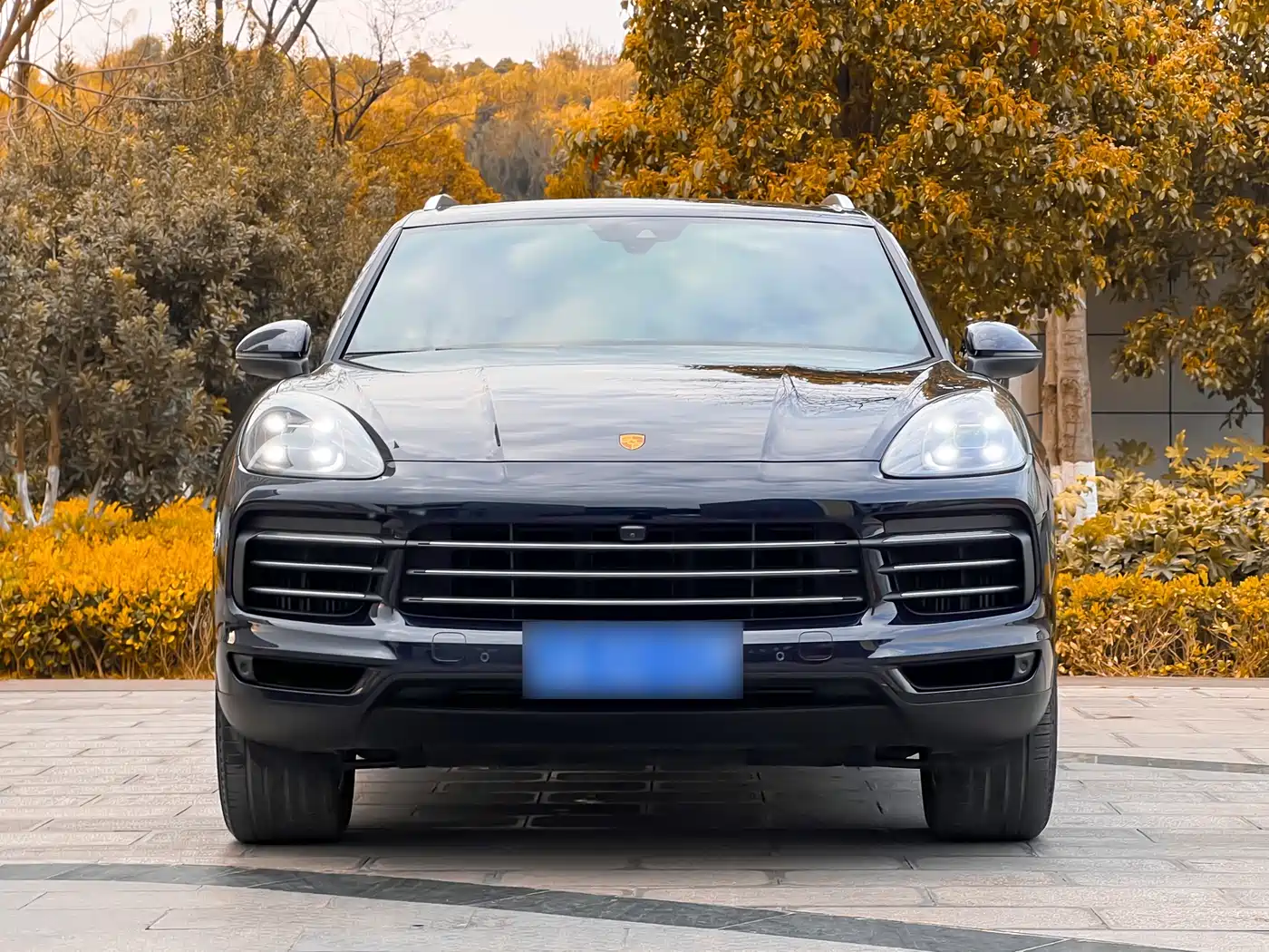 Porsche Cayenne 2018 Cayenne 3.0T фото 2