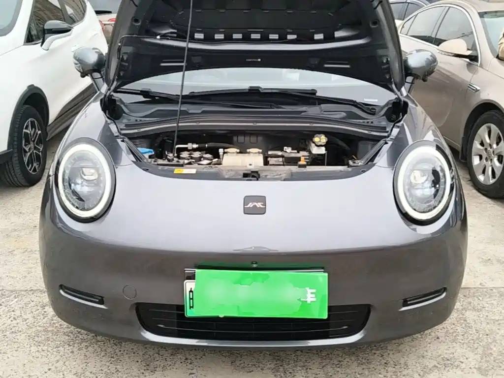 JAC Yiwei Yiwei 3 2023 2023 505km Champion Edition