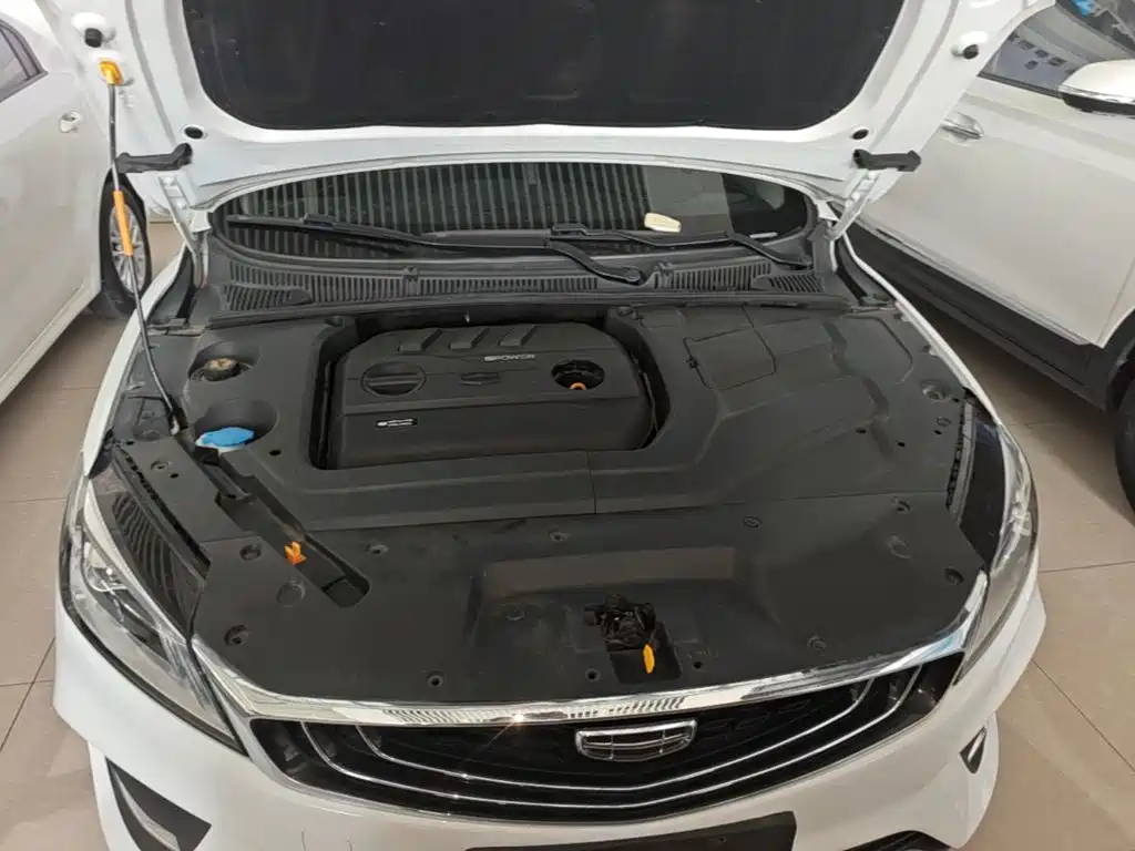 Фото 20 - Geely Binrui