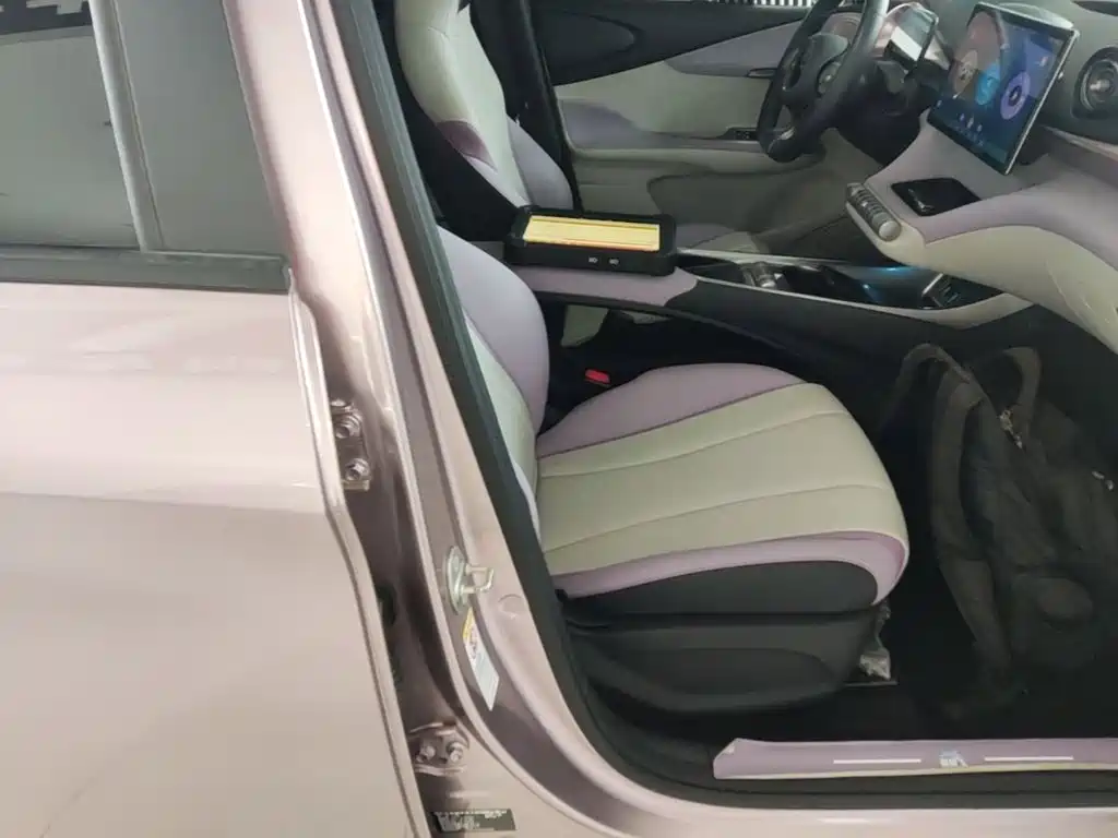 BYD Dolphin 2021 2021 401km Knight Edition