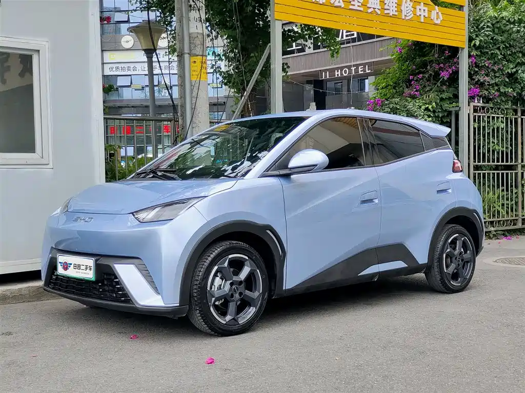 BYD Seagull 2024 Glory Edition 305km Freedom Edition