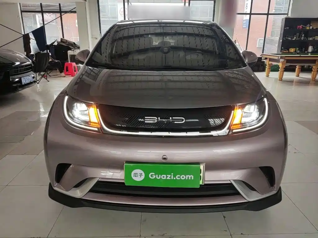 BYD Dolphin 2021 2021 401km Knight Edition