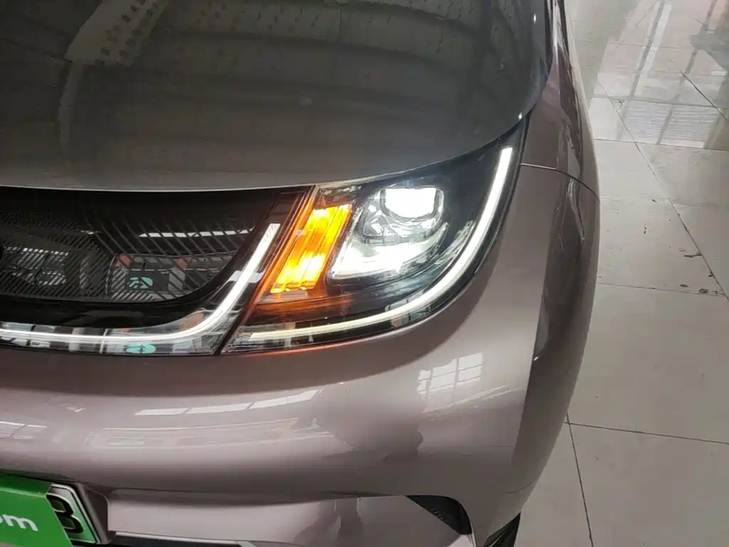 BYD Dolphin 2021 2021 401km Knight Edition