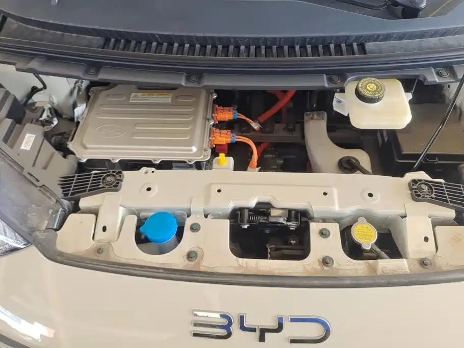 BYD Seagull 2026 2025 Smart Drive Edition 305km Vitality Version
