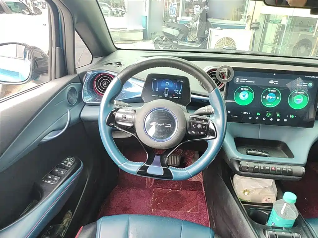 BYD Dolphin 2021 401km Knight Edition фото 11
