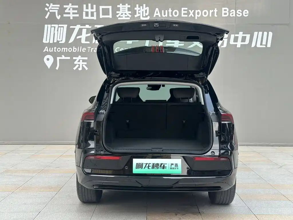 Фото 13 - Buick E5