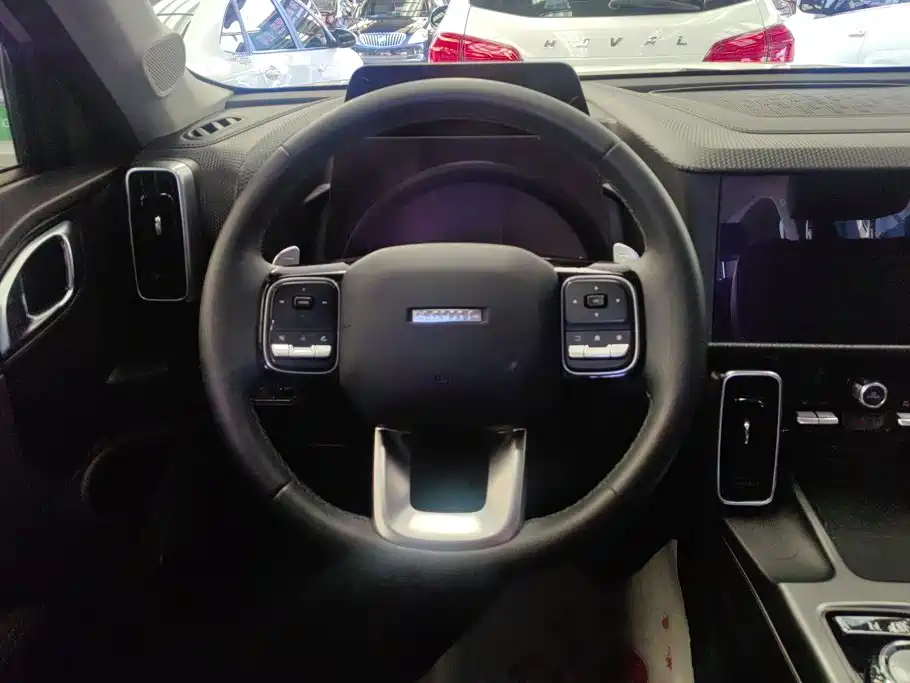 Haval Dargo 2024 2024 1.5T DCT Border Collie Edition