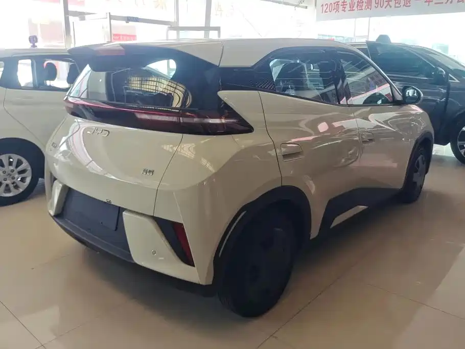 BYD Seagull 2026 2025 Smart Drive Edition 305km Vitality Version