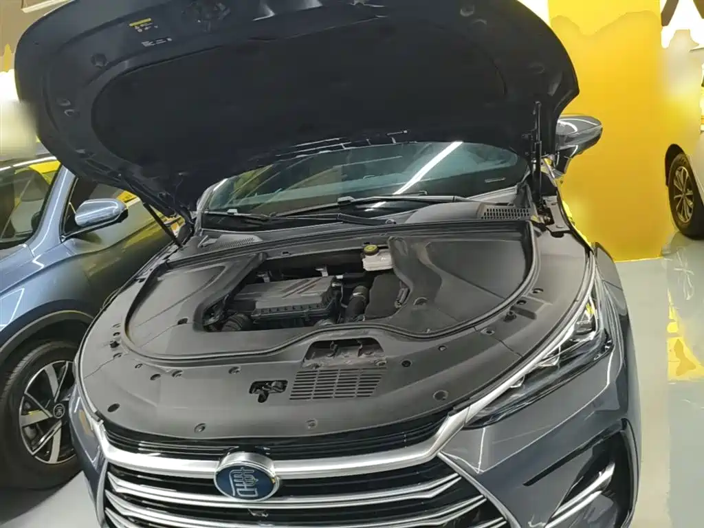 BYD Tang New Energy 2021 DM-i 112KM Honor фото 20