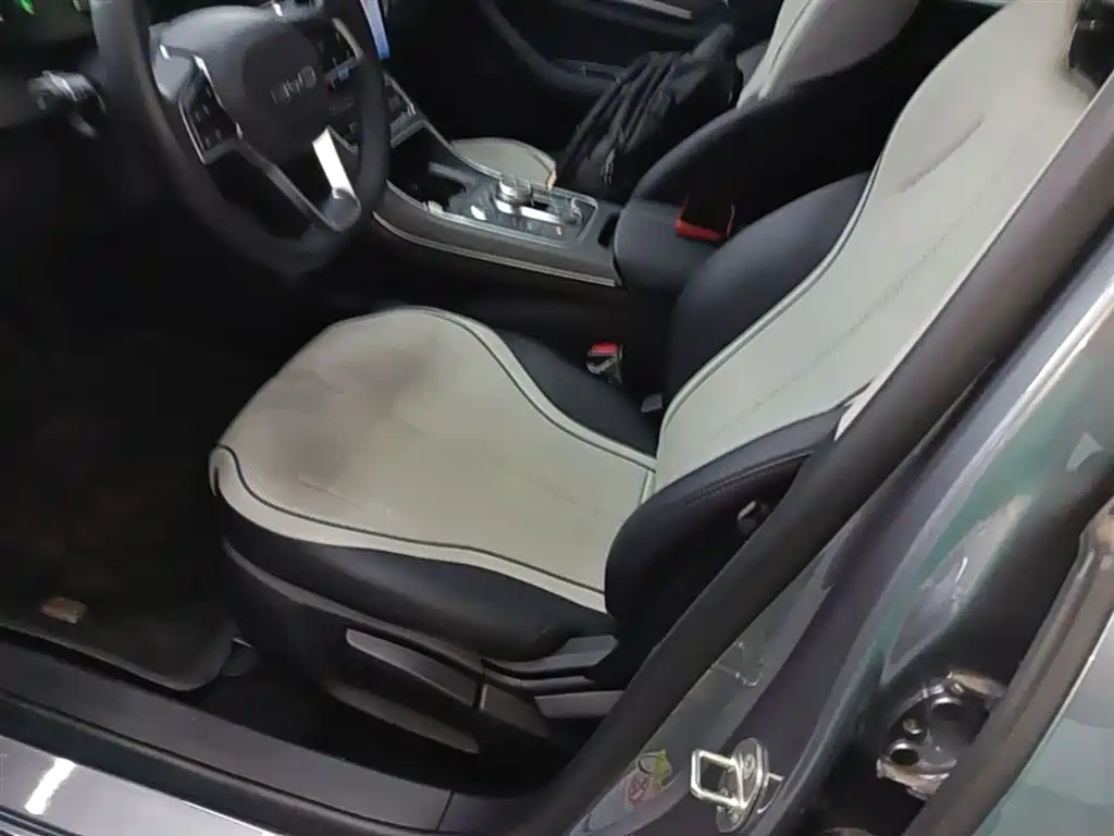 BYD Destroyer 05 2024 Glory Edition DM-i 55KM Luxury фото 15
