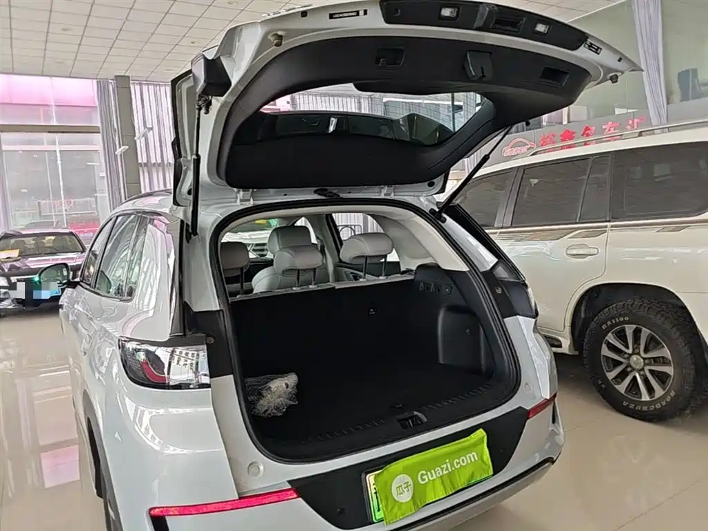 BYD Hai Shi 05 EV 2025 520KM Smart Navigation Edition фото 19