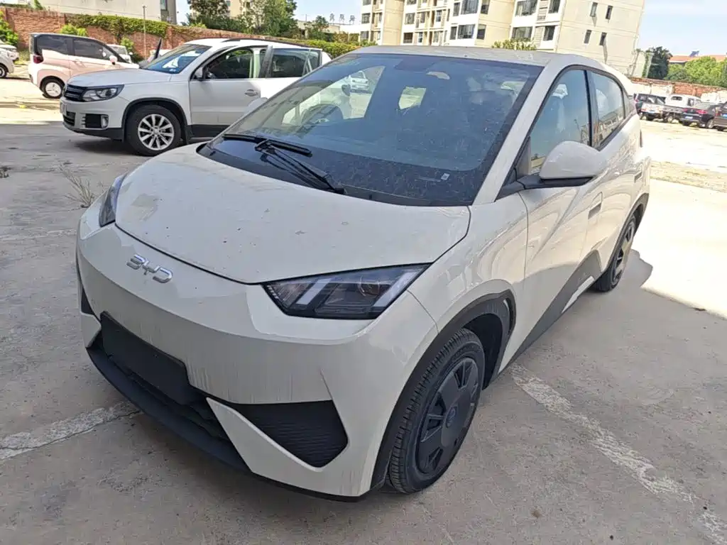 BYD Seagull 2026 2025 Smart Drive Edition 305km Vitality Version