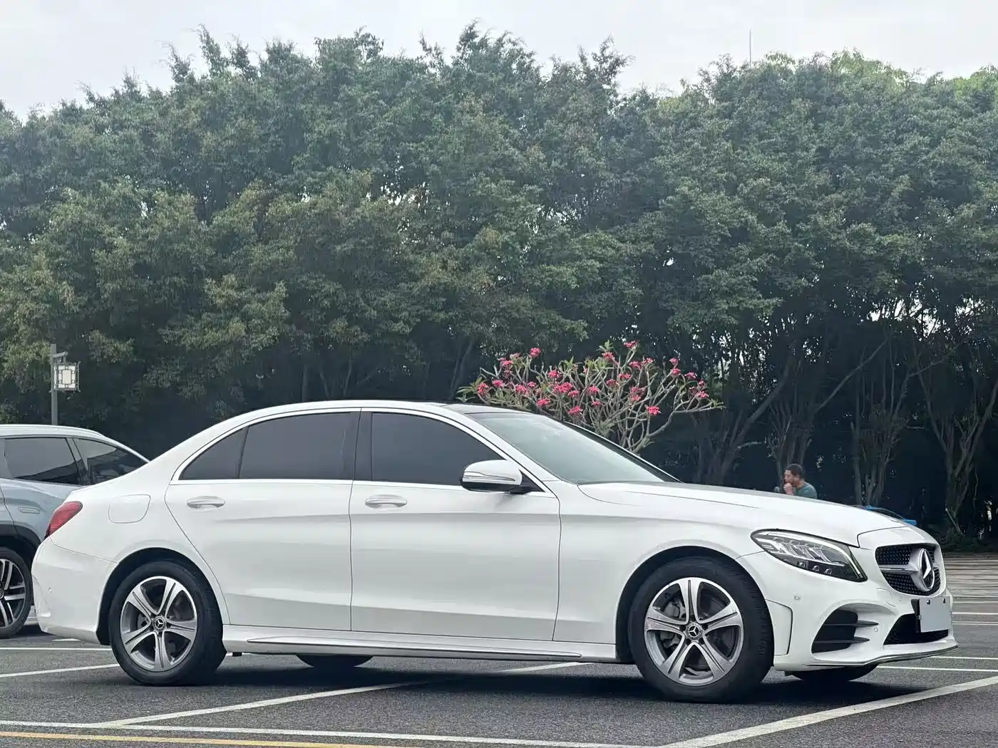 Mercedes-Benz C-Class 2019 C 260 L Sport фото 3