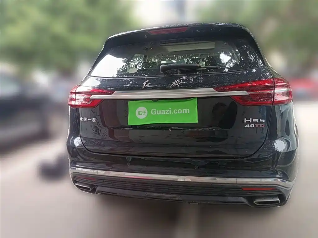 Hongqi HS5 2022 Facelift 2.0T Smart Flag Enjoyment Edition фото 4