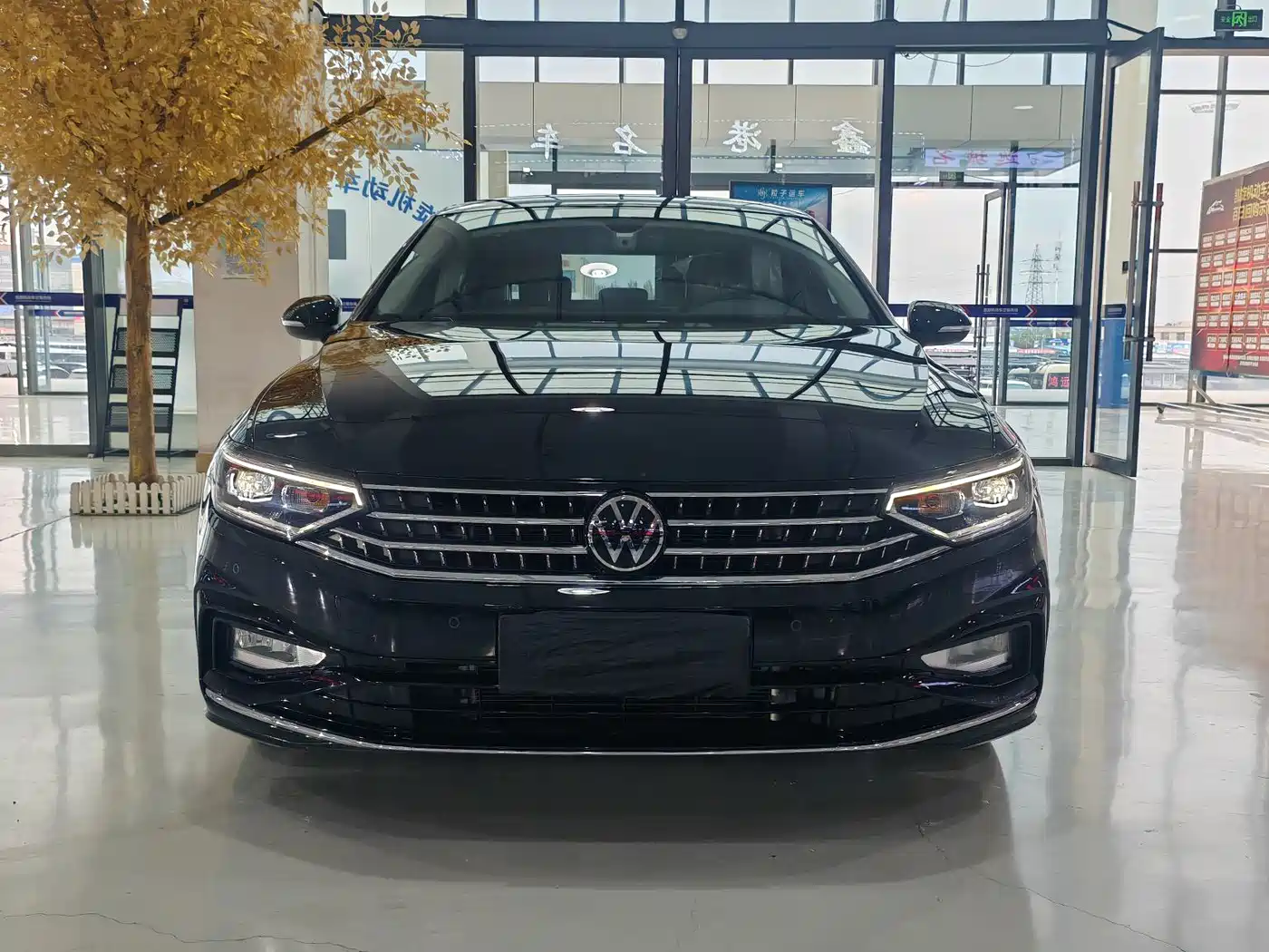 Volkswagen Magotan 2024 2 Million Units Public Sharing Edition 330TSI DSG Luxury фото 2