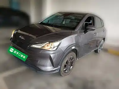 Neta V