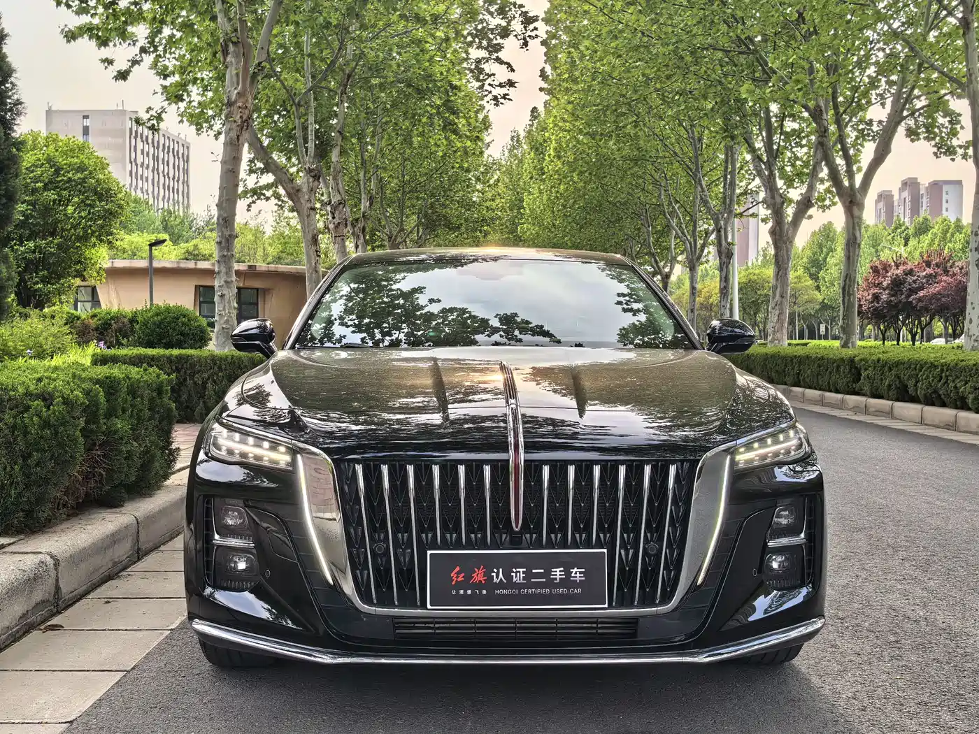 Hongqi H5 2023 2.0T Auto Smart Connect Flag Enjoy фото 2