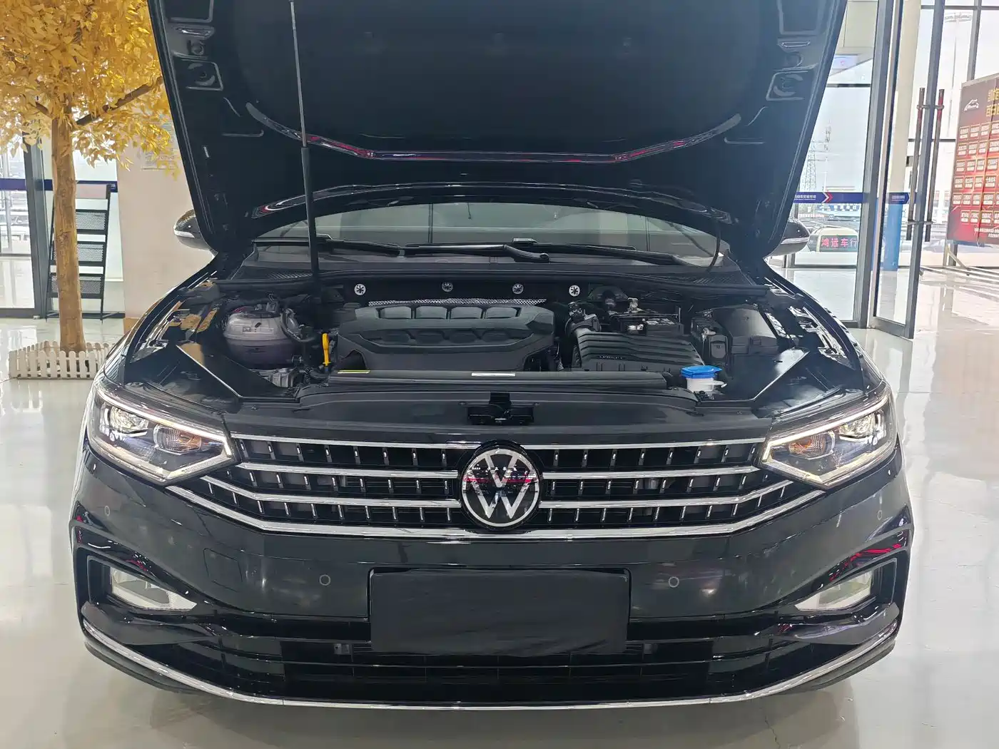Volkswagen Magotan 2024 2 Million Units Public Sharing Edition 330TSI DSG Luxury фото 18
