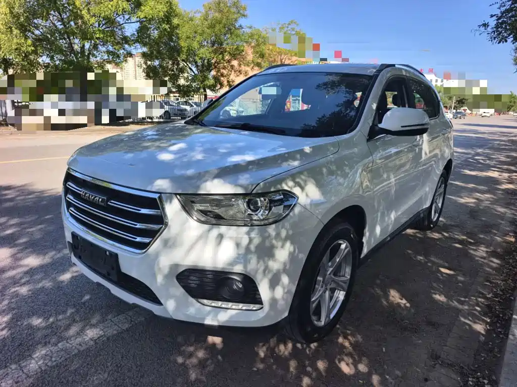 2019 Haval H2