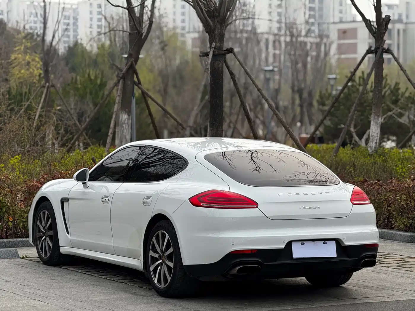 Porsche Panamera 2014 Panamera 3.0T фото 4
