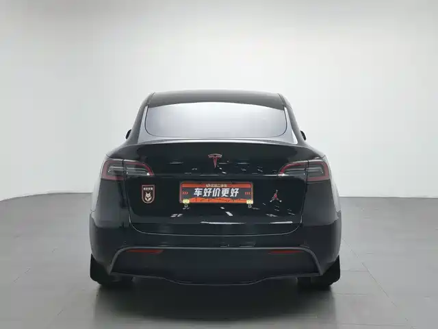 Tesla Model Y 2023 Long Range All-Wheel Drive Edition — фото 4