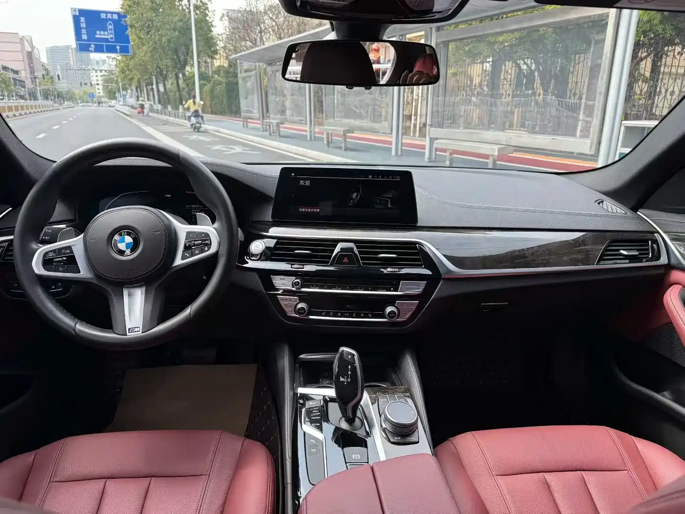 BMW 5 Series 2020 530Li Leading M Sport Package фото 6