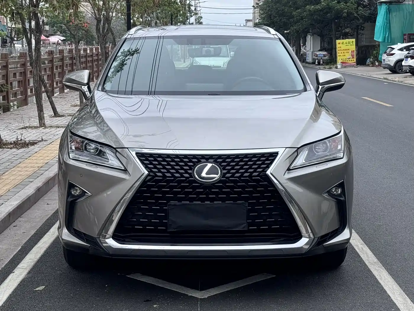 Lexus RX 2016 300 2WD Elite Edition (China V) фото 2