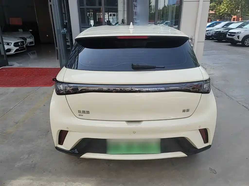 BYD Dolphin 2024 Glory Edition 420km Freedom Edition фото 4
