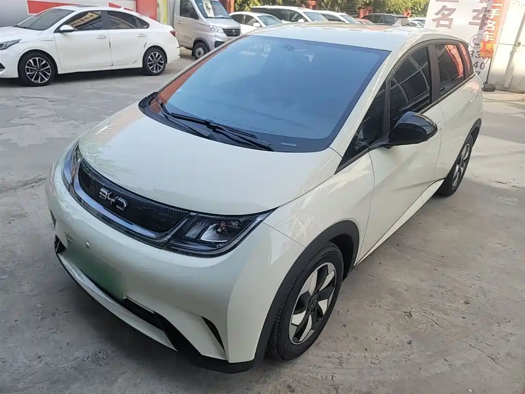 BYD Dolphin 2024 Glory Edition 420km Freedom Edition