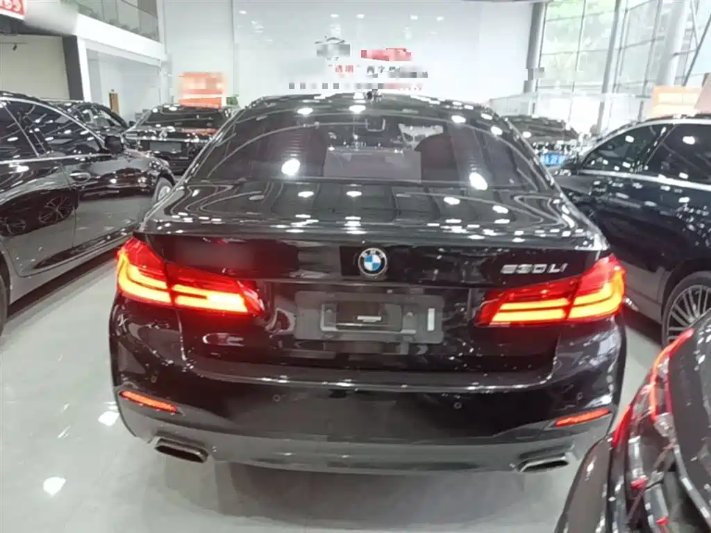 BMW 5 Series 2019 Facelift 530Li Leading M Sport Package фото 6