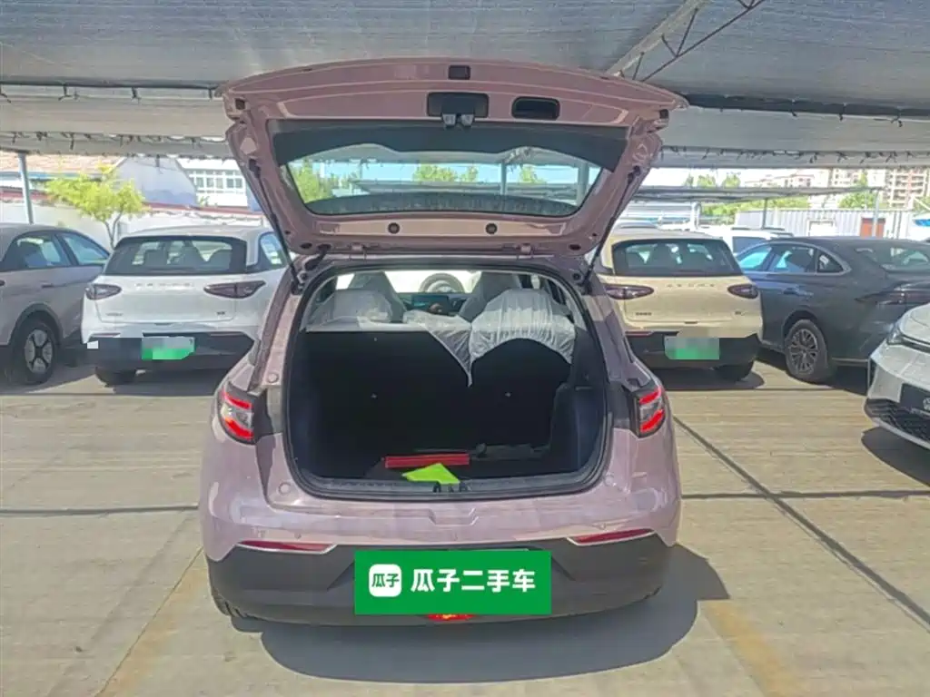 Geely Galaxy Starry Wish 2026 Edition 310km Youth Version фото 19