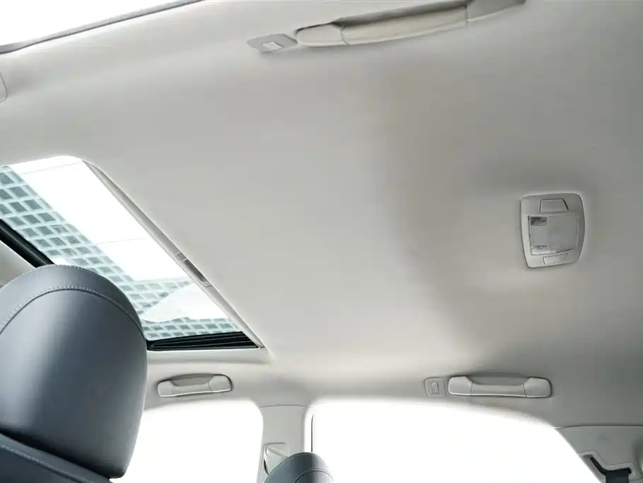 Lexus RX Classic 2013 270 Elite фото 14