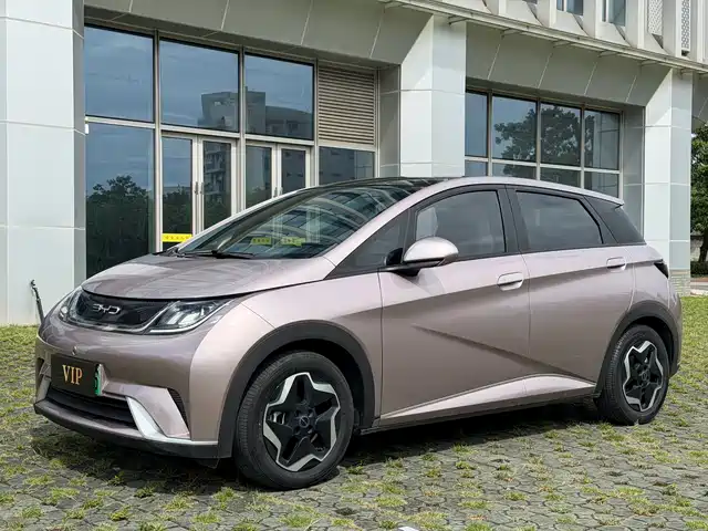 BYD Dolphin 405km, Стиль