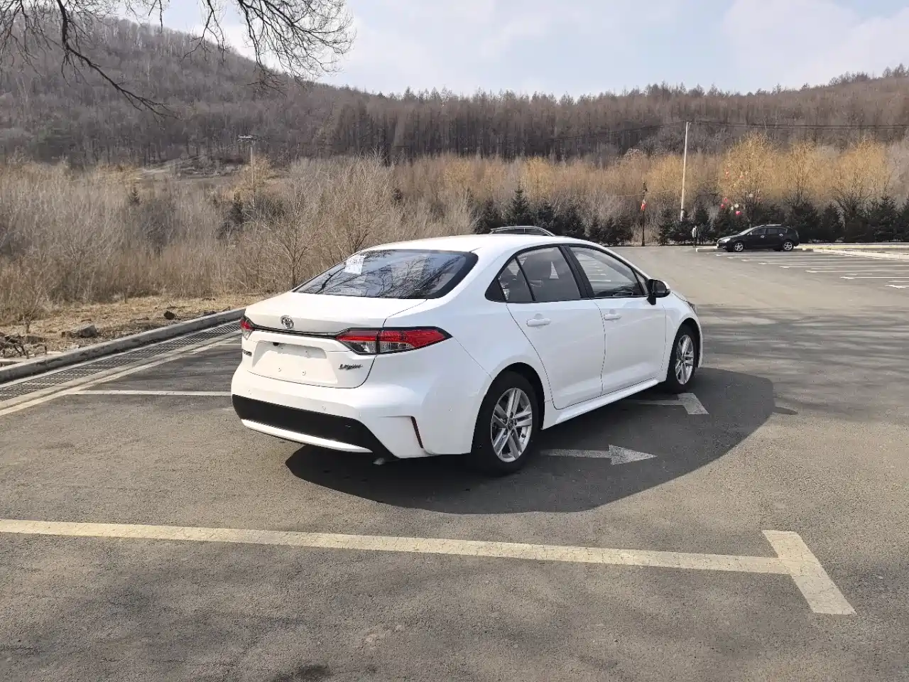 Toyota Levin 2023 TNGA 1.5L CVT Progressive фото 5