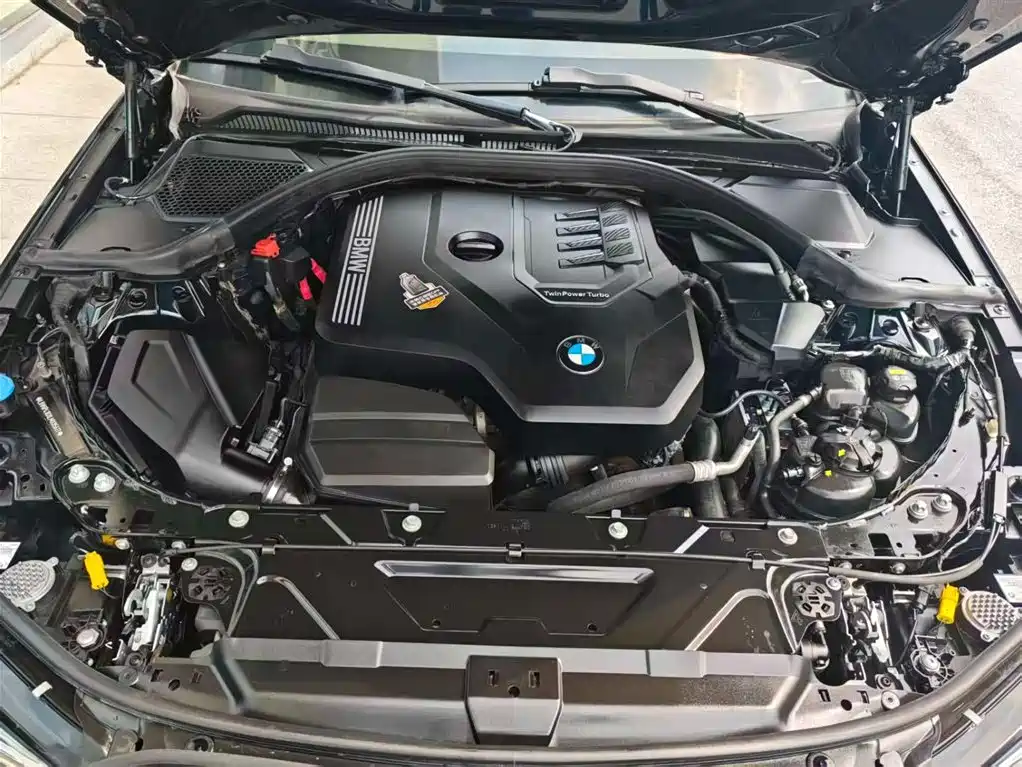 BMW 3 Series 2020 325Li M Sport Black Night Package фото 9