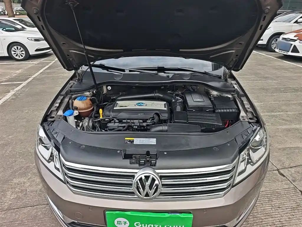 Volkswagen Magotan 2016 1.8TSI Smart Leading фото 20