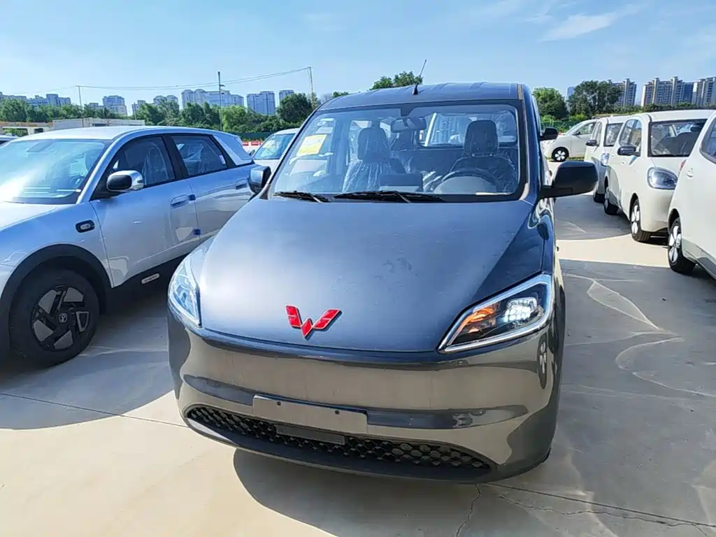 Wuling Motors Wuling Hongguang New Energy 2025 2024 Pure Electric 300KM Standard