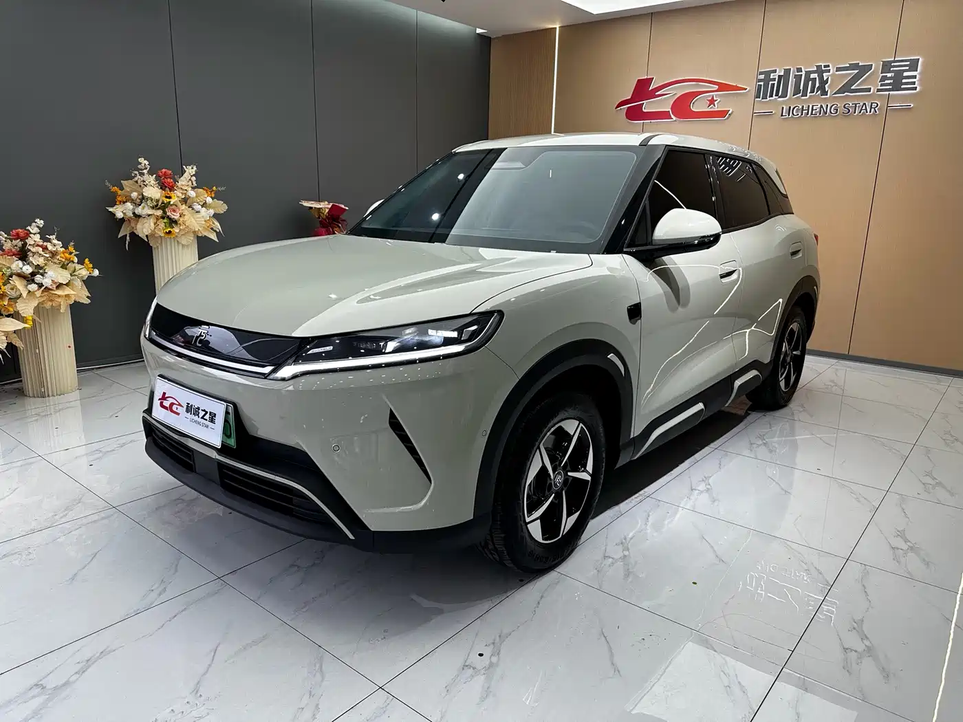 BYD Yuan UP 2025 2025 Smart Drive Edition 401KM Leading Type