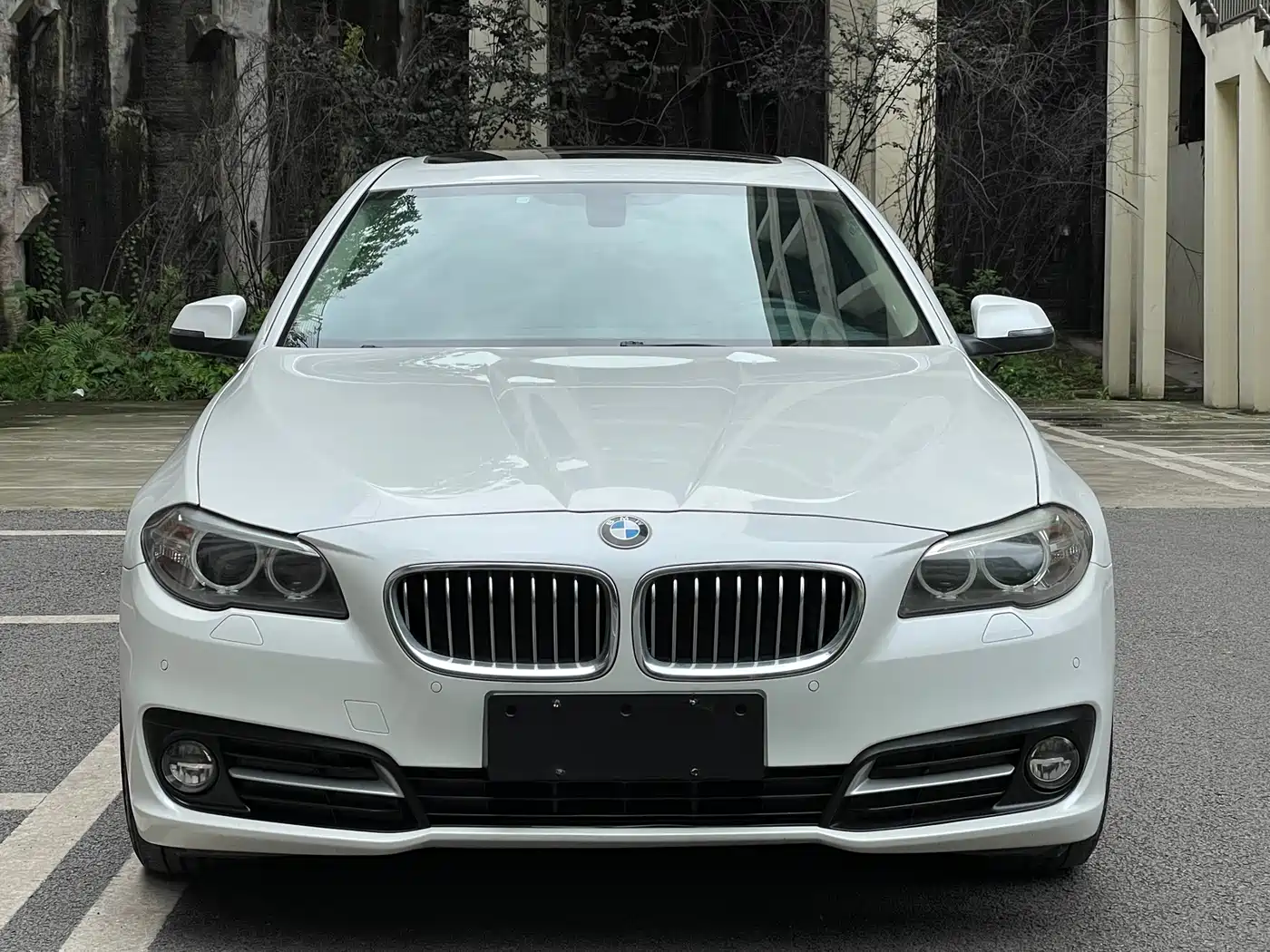 BMW 5 Series 2014 520Li Elegance фото 2