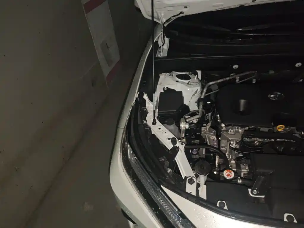 Toyota RAV4 2025 2023 2.0L CVT FWD Style Plus Edition