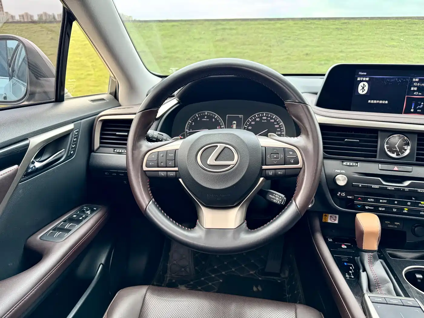 Lexus RX 2020 300 4WD Elegance Edition China VI фото 14