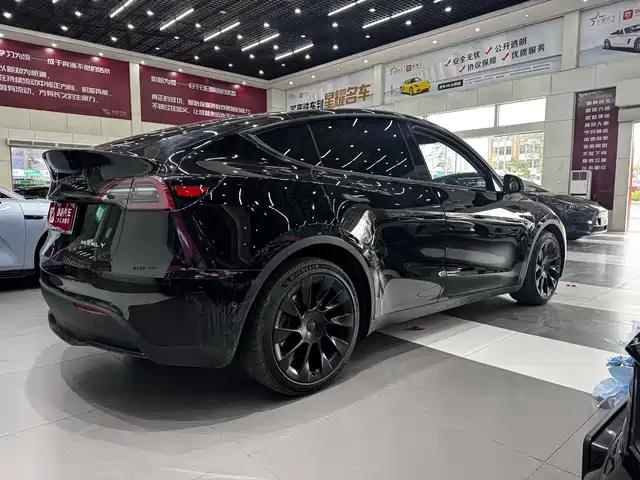 Tesla Model Y 2021 Long Range All-Wheel Drive 3D7 — фото 5