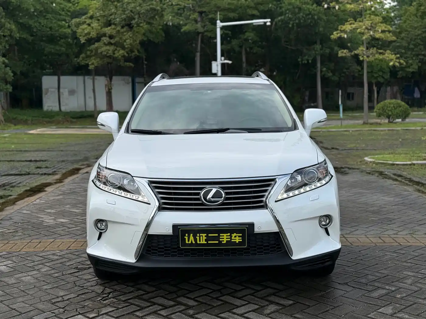 Lexus RX Classic 2014 270 Special Limited Edition фото 2