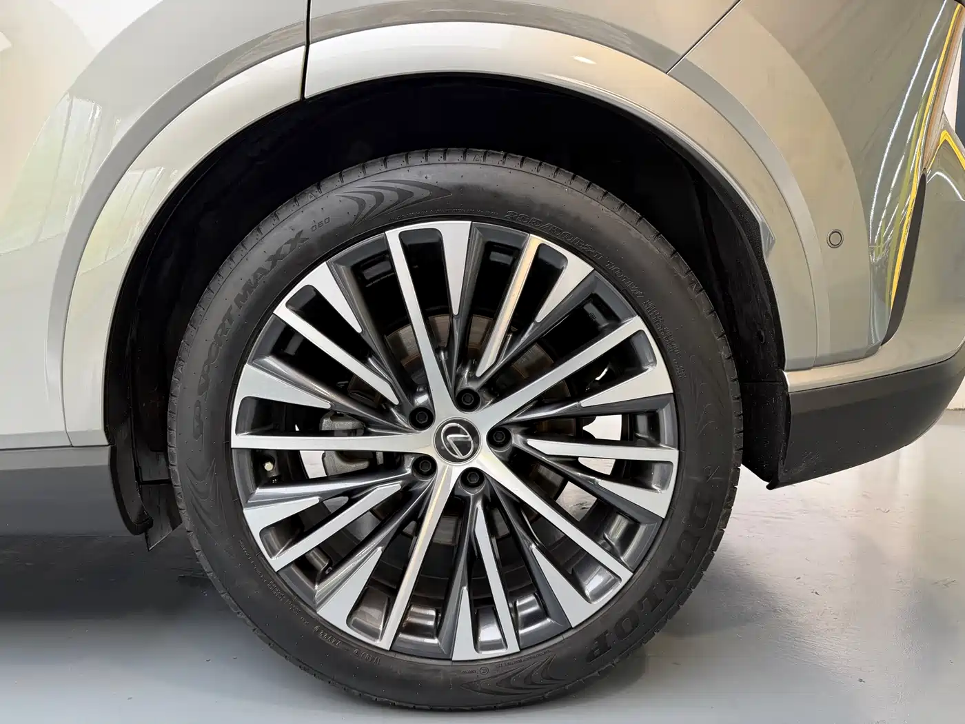 Lexus RX New Energy 2023 450h+ 4WD Enjoyment фото 15