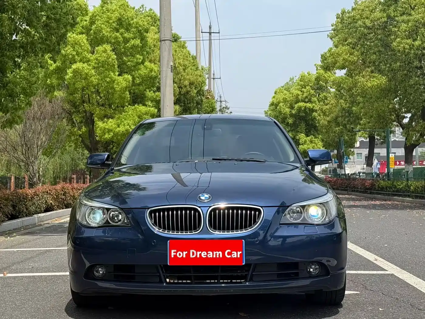 BMW 5 Series 2007 530Li Elegance фото 3