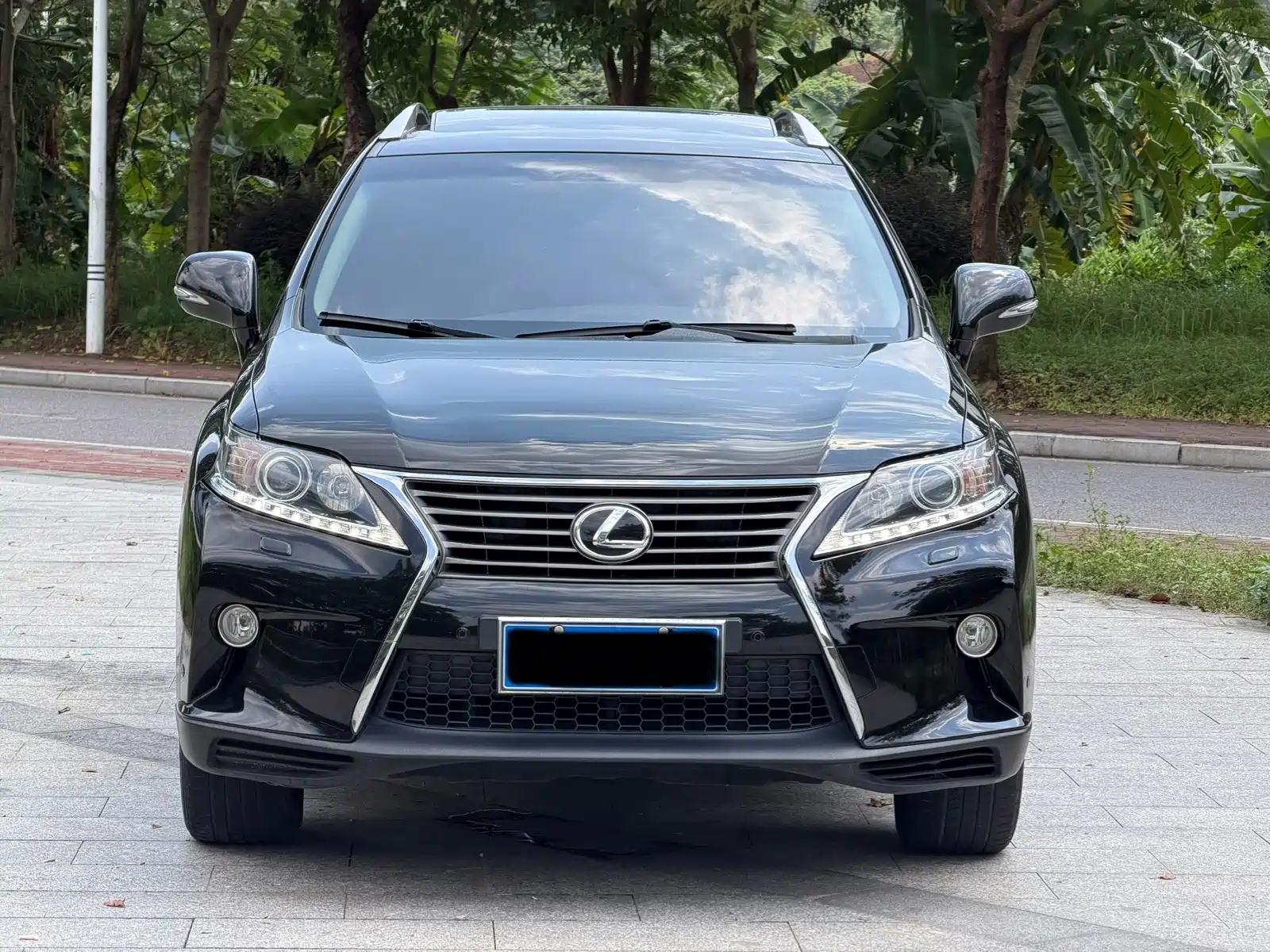 Photo 2 - Lexus RX Classic