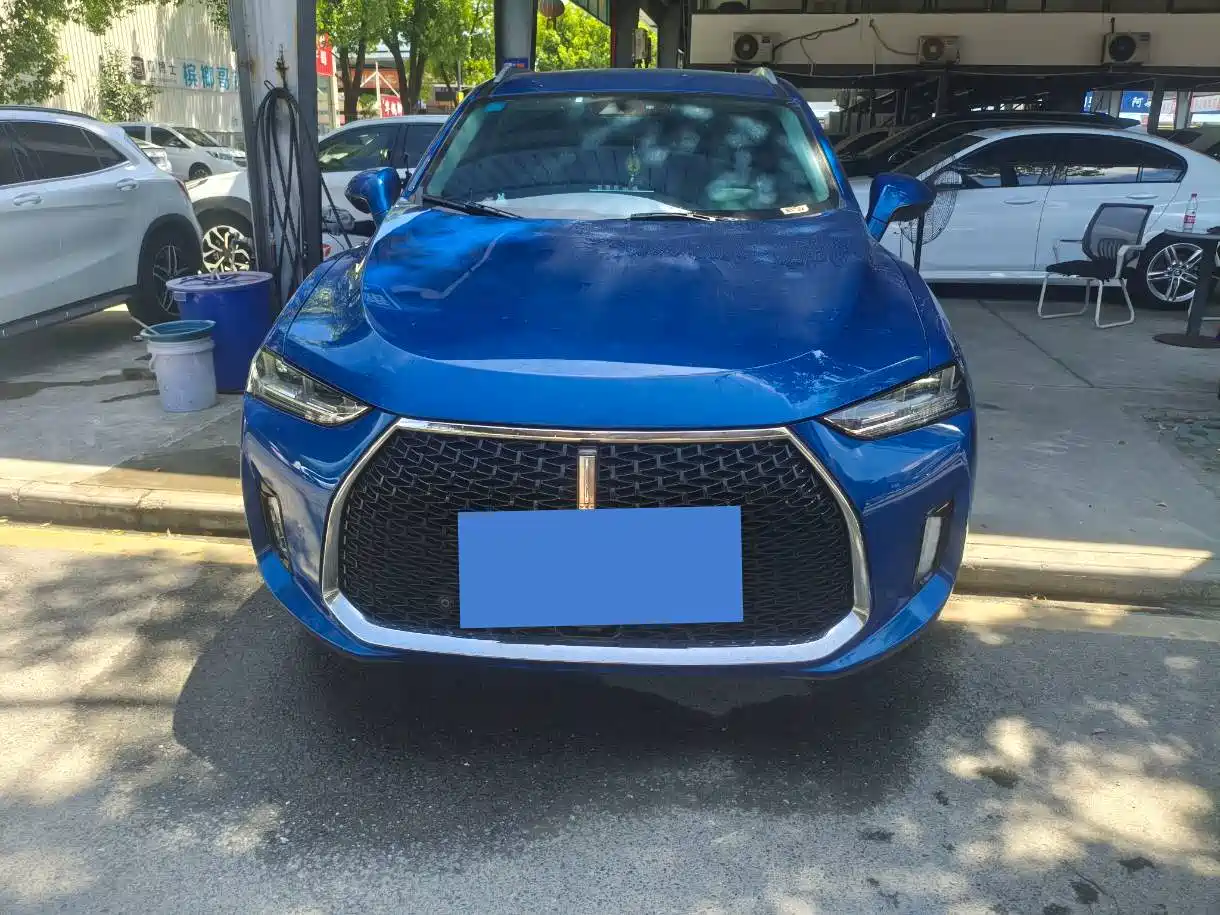 WEY P8 2018 2018 2.0T Flagship Model