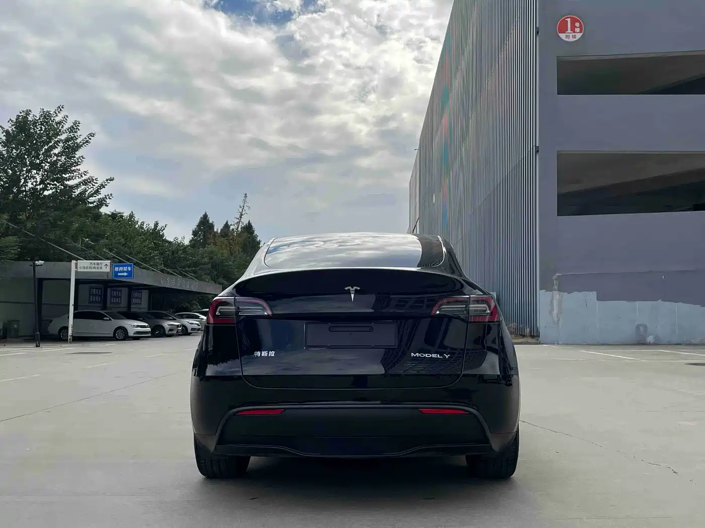 TESLA MODEL Y